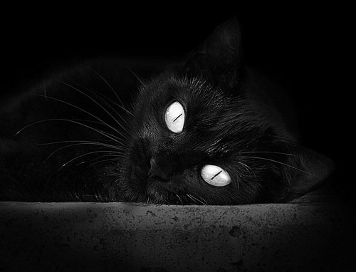 乐鱼体育官网下载-格鲁吉亚女篮在欧洲锦标赛中高歌猛进，期待泰山崩于前夜崭露头角